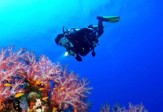 谁是冬钓王?—2024年第九届沈阳卧龙湖大辽文化冬捕节暨冰钓体验与趣味邀请赛正在进行中!!