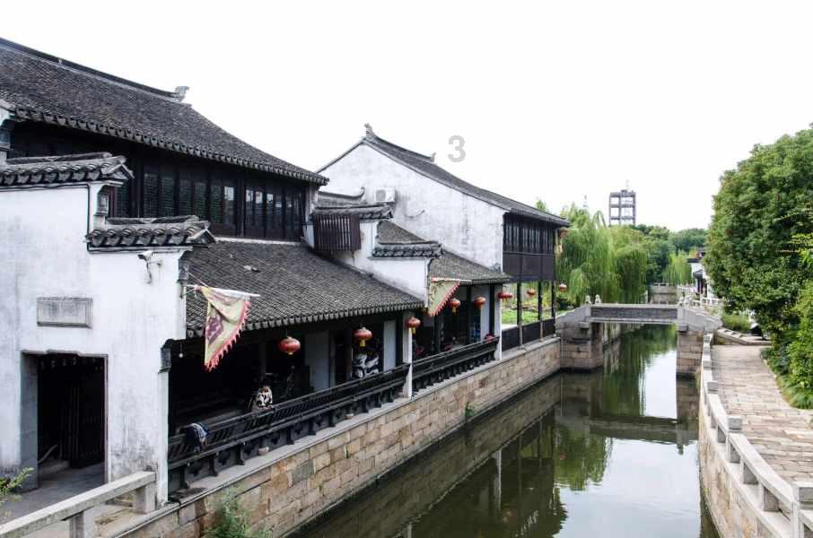 拯救精灵的土地9